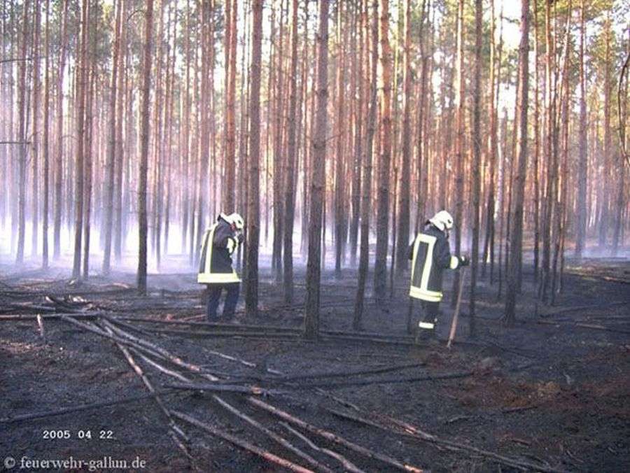 Einsatz 4-2005